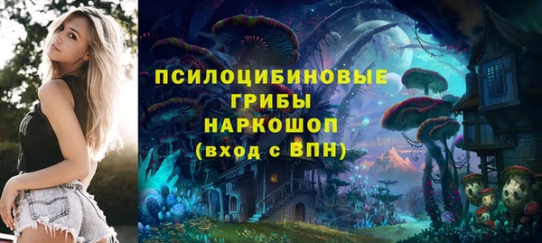 ешки Пестово
